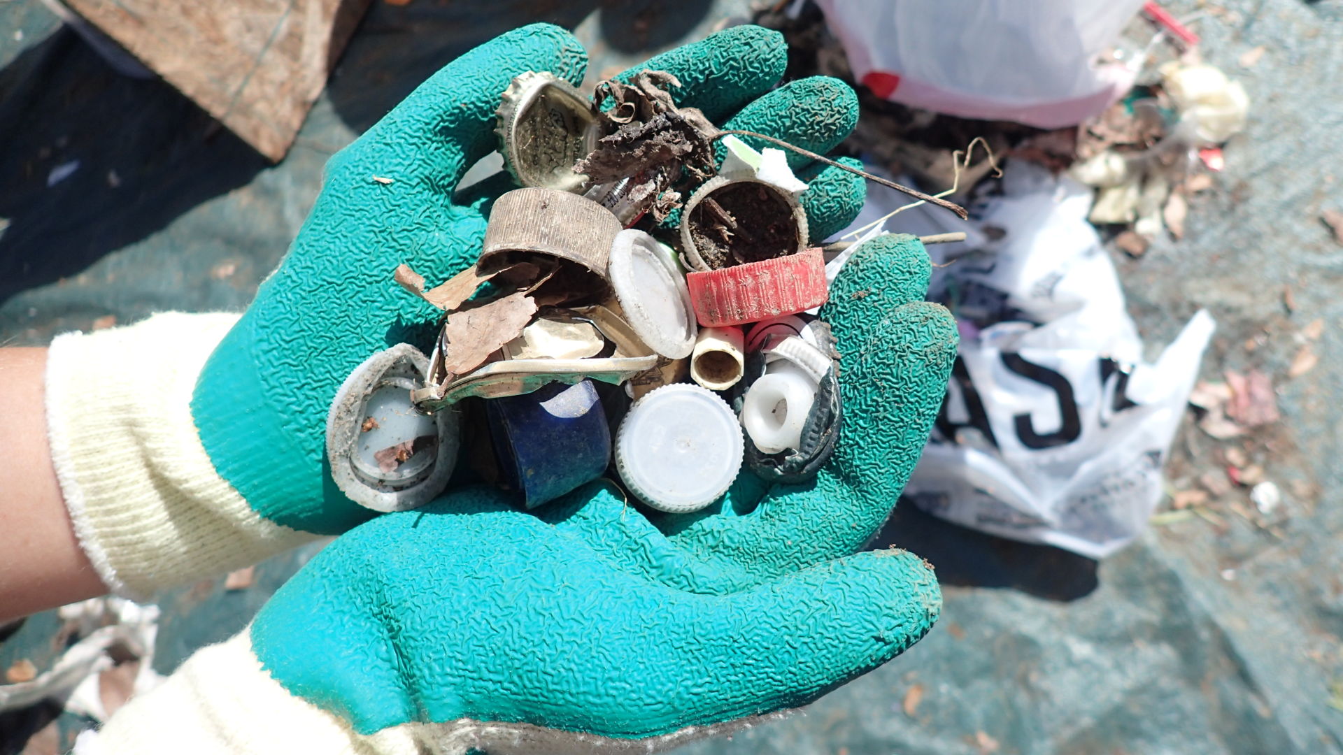 Hands holding trash